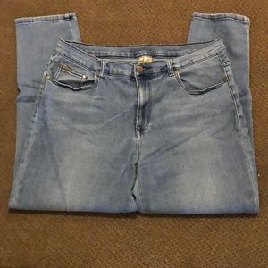 DG2 Jeans Size 18W